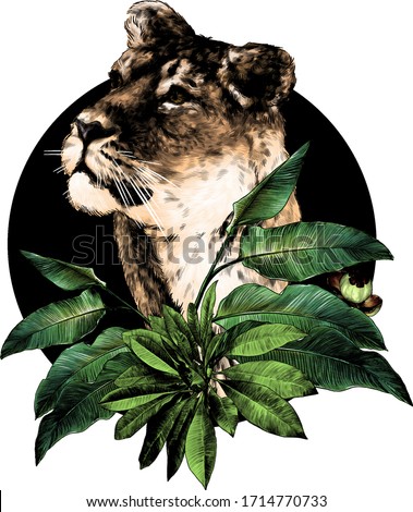 tigress head looks away in a three-quarter round composition decorated with tropical plants, sketch vector graphics color drawing on a white background