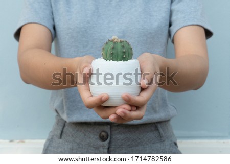 Close up view of a woman Study and care cactus on wood table in cactus cultivation house, Cactus nursery