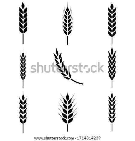 Wheat ears icon, logo isolated on white background Royalty-Free Stock Photo #1714814239