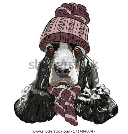Vector hipster black dog English Cocker Spaniel breed in a warm winter knitted brown hat and scarf