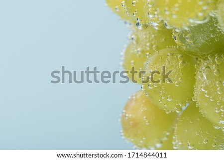 a bunch of green ripe grapes with air bubbles close-up. Studio horizontal photo with space for caption. Clean berries under water on a blue background.