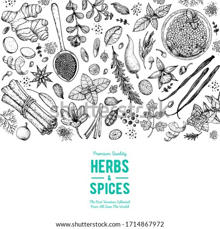 Herbs and spices hand drawn vector illustration. Aromatic plants. Hand drawn food sketch. Great for package. Vintage illustration. Card design. Sketch style. Spice and herbs black and white design. Royalty-Free Stock Photo #1714867972