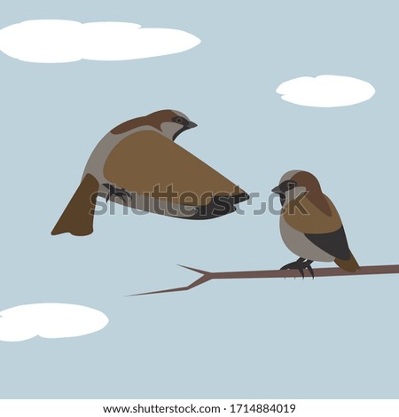 Simple illustration of two sparrows - flying and sitting. Clean, geometrical vector file, fully editable for various purposes.
