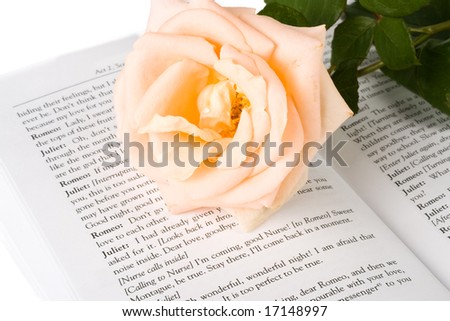 The rose laying on the book on a white background