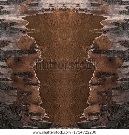 abstract pattern of tree bark, panoramic texture of tree bark in the grunge style