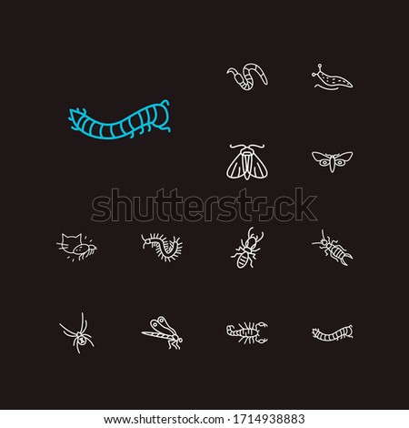 Insect icons set. Termite and insect icons with black widow spider, moth and caterpillar. Set of exterminator for web app logo UI design.