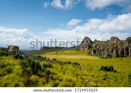 Aberdare ranges Kenya beautiful landscape (Aberdare national Park) Royalty-Free Stock Photo #1714955029