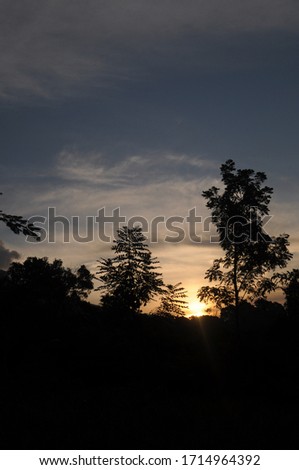 Silhouette of the forest with the sunset
