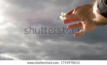 Cherry flower against the sky,with the rays of the sun,a joyful man holds a flower in his hand.
