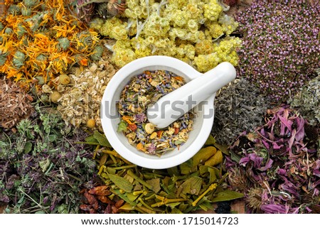Healing herbs and mortar of medicinal herbs - thyme, coneflower, marigold, daisies, helichrysum flowers, heather, mistletoe. Herbal medicine, top view. 