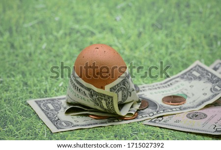 Brown egg wrapped in one dollar bill depicting rising food costs