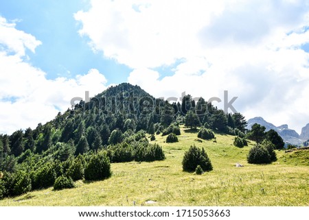 landscape with tree, photo as a background , in the European Border between spain and france in the pyrenees