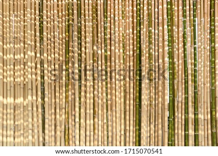 Bamboo background and backdrop battens are arranged to the wall partition and fence in the morning with sunlight.