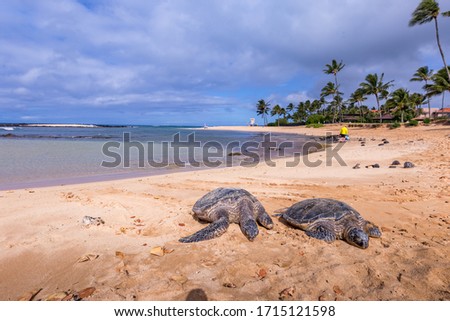 beautiful pictures of beaches on the island of Kauai in Poipu