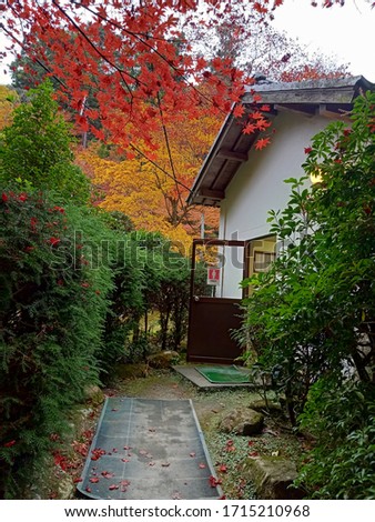 The entrance to the female toilet in the Autumn. Japan.