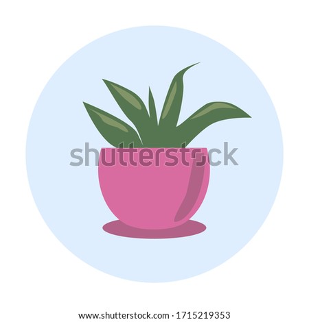 Vector plant icon. illustration of a potted plant in pink on a blue circle background. Gardening, home plant, transplanting plants in a new pot.
