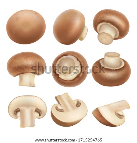 3d realistic champignon mushrooms isolated on white background. Cremini elements. Vector whole, cut and sliced portobello illustration. Top and side view for design Royalty-Free Stock Photo #1715254765