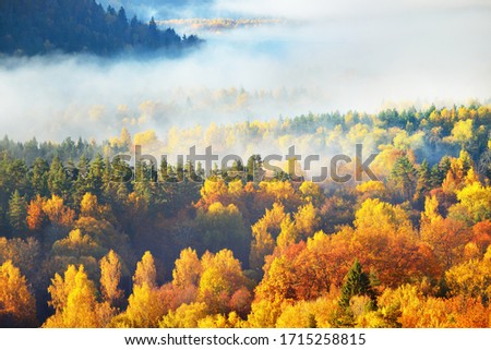 Breathtaking panoramic aerial view of the hills of colorful red, orange and yellow trees in a mixed coniferous forest in a morning fog. Fairy autumn landscape. Gauja national park, Sigulda, Latvia Royalty-Free Stock Photo #1715258815