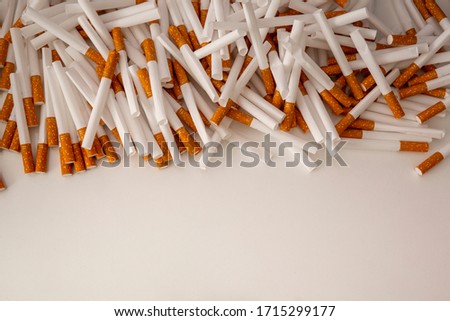 Close up of a smoking cigarettes. Top view cigarette background lined up in a row on isolated background