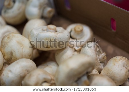 White button mushrooms at the market. Products for the restaurant. Healthy diet. Fresh food