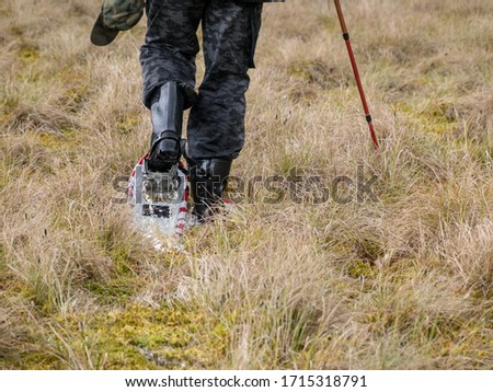 picture with bog background and bog shoes, walk in the bog, bog grass, moss and water, spring in the swamp