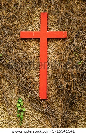 Cross made on wall and surrounded by roots of plant.