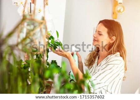 young woman taking care of the house plants, gardening. Home activity for woman