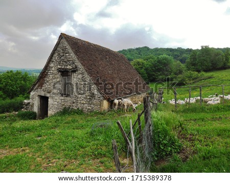 Typical and beautiful rural postcard of a ancient stone house with sheep in the French Perigord area