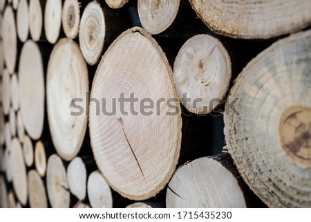 Cut wooden log, view from side angle. Unique circles from old trees. Creative modern interior design idea for home wall decor. Abstract closeup wood background texture in detail with rings and cracks.