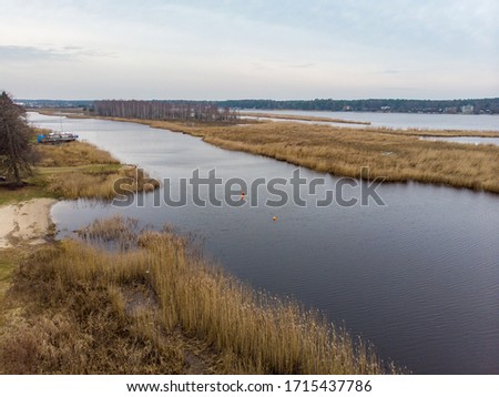 Beautiful riverside areal view of river Lielupe flowing near pine forest strees on both coast lines. Photo taken in Europe, Latvia.
