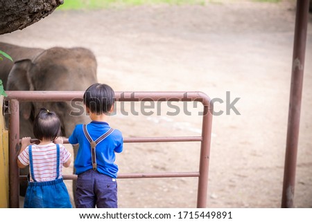 Cute boy and girl looking elephant at national park. Copy space.