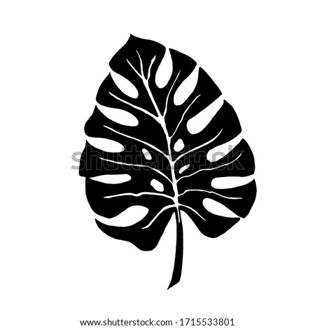 Tropical leaf silhouettes isolated on white background.  Monstera. Vector illustration. 