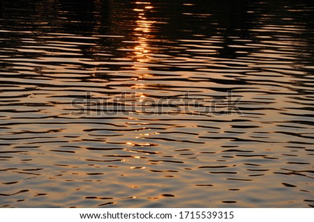 Evening sun light reflecting in ripples in the water background