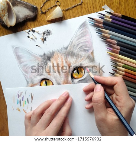 Workplace. Hands draw a portrait of a cat with colored pencils