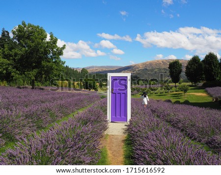 Lavender fields with purple door