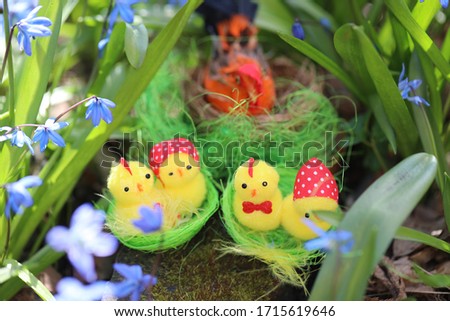 easter pictures with chicken  near flowers on the ground, eggs in the nest