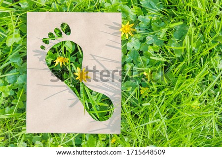 Human impact on nature, ecology, protection of natural environment, earth day concept. Ecological footprint made of recyclable paper over green grass. Copy space