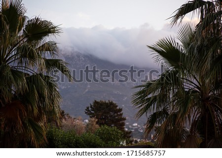 dark storm clouds view beetween palm trees and mauntains in Cyprus
