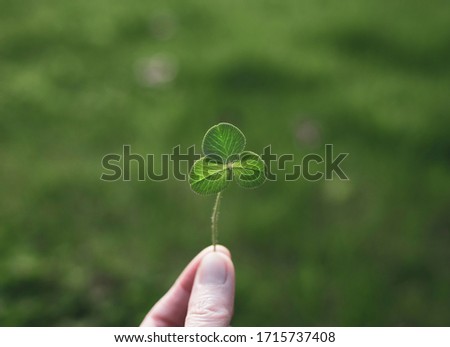 A hand is holding a clover