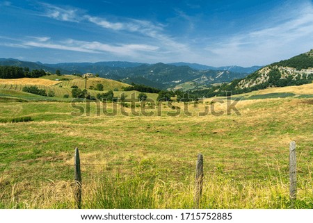 Summer landscape near Bagno di Romagna, Forli Cesena, Italy