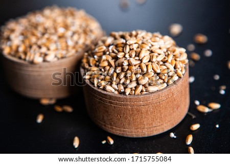 Whole grain wheat flour isolated. Wheat grain as background texture, top view.
