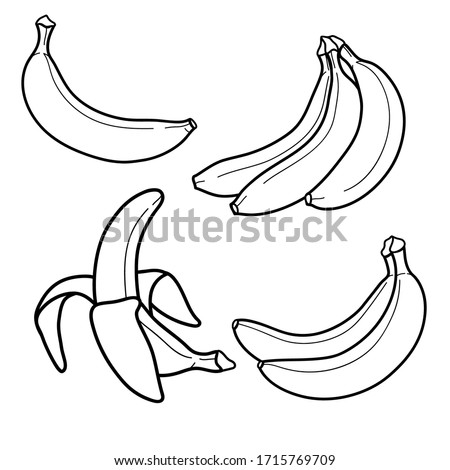 Linear drawing banana isolated on white background. Sketch for coloring booking page. Vector illustration Royalty-Free Stock Photo #1715769709