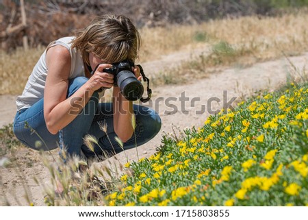 Woman squatting photographer taking scene of yellow flowers in the field