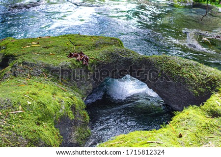 Water flowing  through moss covered rocks