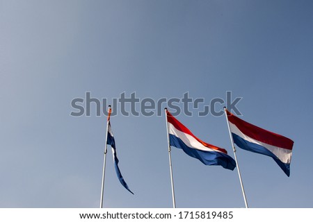 Dutch flags in a row during a national holiday in the Netherlands
