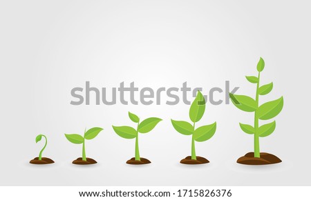 Saplings, Sprouts Growth Stages Vector Drawings Set. Green Saplings Growing In Soil Isolated Cliparts Pack. Royalty-Free Stock Photo #1715826376