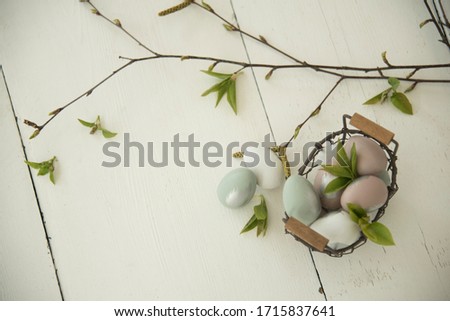 easter concept with easter eggs and spring flowers 