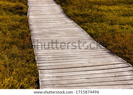 Wooden boardwalk in volcanic landscape  - Craters of the Moon, Taupo, North Island, New Zealand