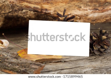Photo of blank business cards on a autumn background Branding mockup