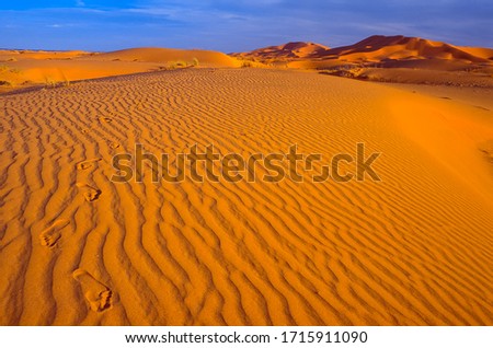 Foot prints in dunes, Erg Chebbi, morocco, Sahara